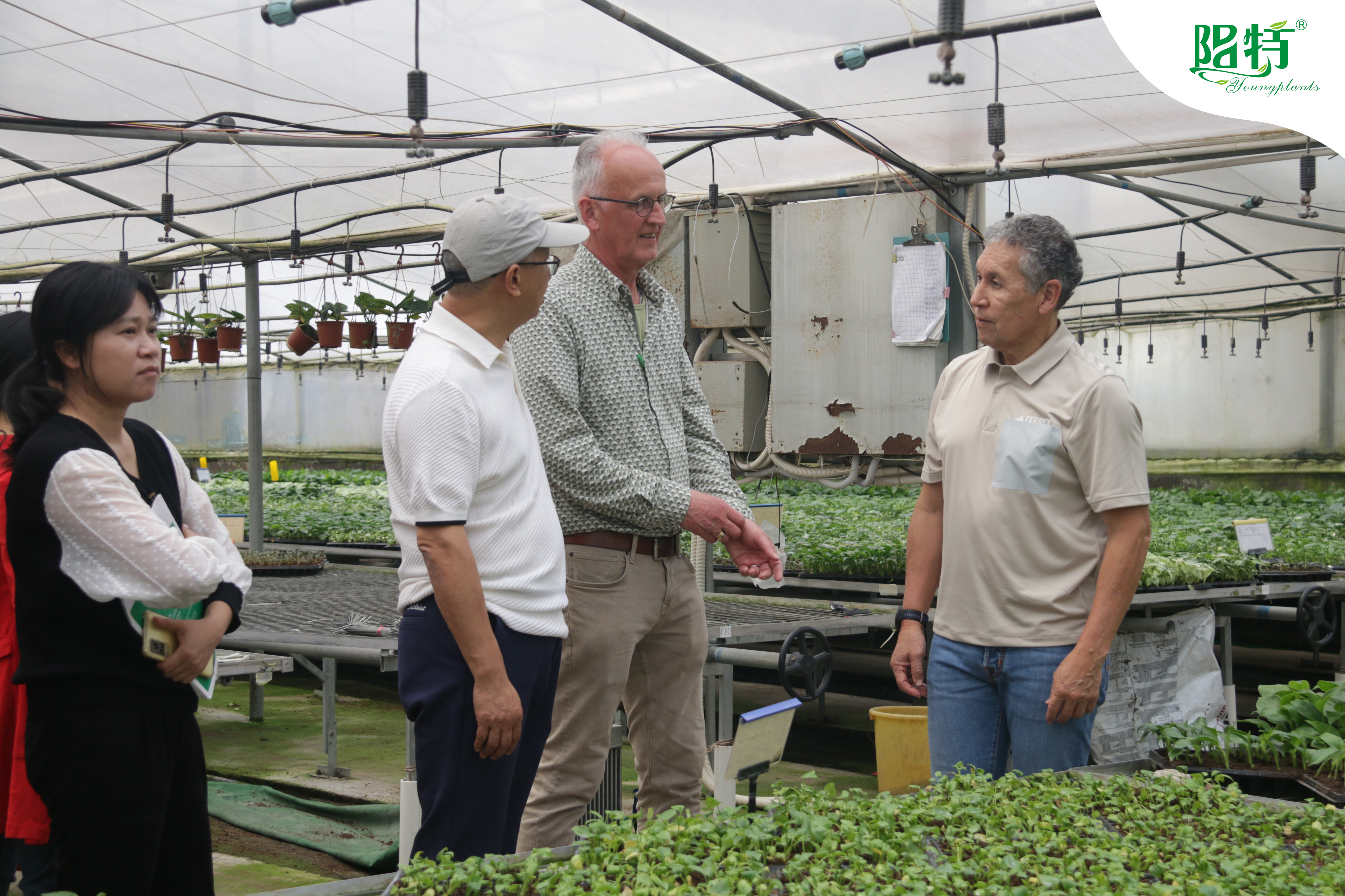 Foshan Youngplants | Wiedervereinigte Langzeitpartner: Ein produktiver Besuch von Ornamentx, Niederlande 2
