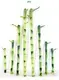 20cm Straight Lucky Bamboo: High-Tech Innovation for Flower & Gardening Plants 1