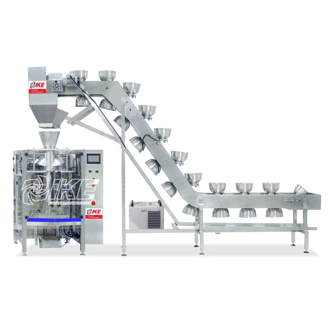 DS-B420B Granular beef jerky packaging machine for candy 1
