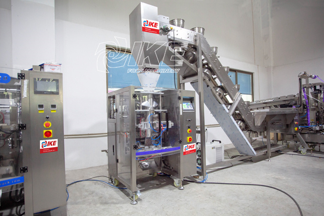 DS-B420B Granular beef jerky packaging machine for candy 2