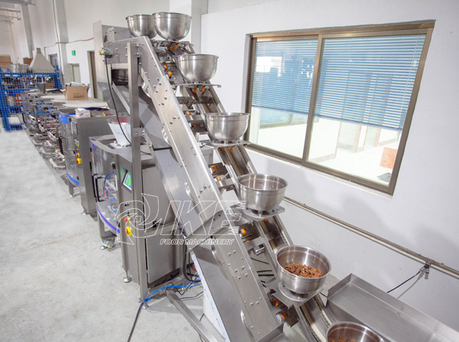 DS-B420B Granular beef jerky packaging machine for candy 3