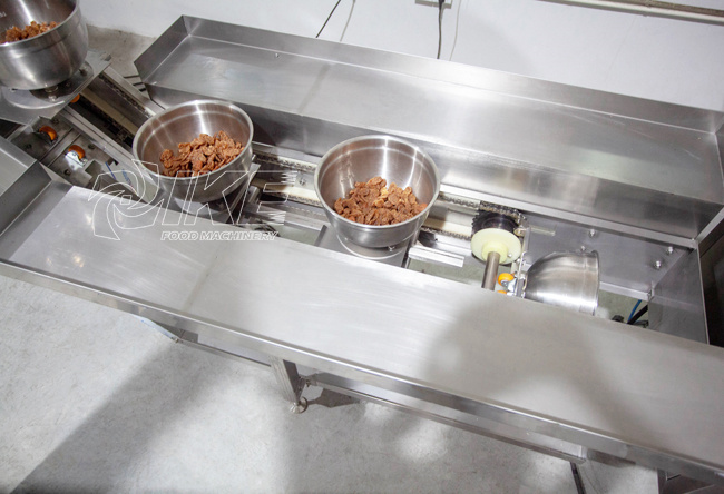 DS-B420B Granular beef jerky packaging machine for candy 4