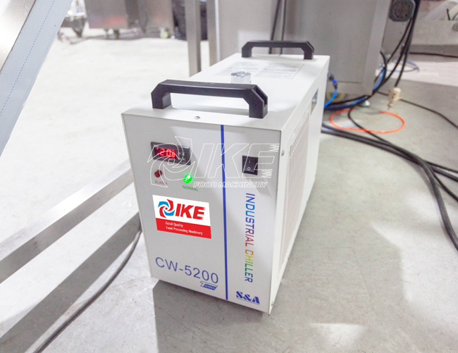 DS-B420B Granular beef jerky packaging machine for candy 5