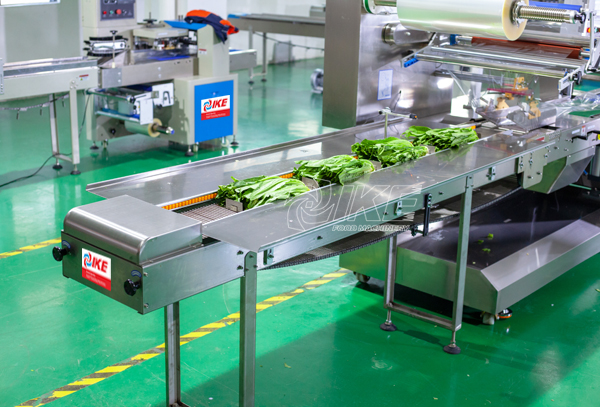 DS-B700 Machine d'emballage automatique pour les légumes en sac et en boîte 3