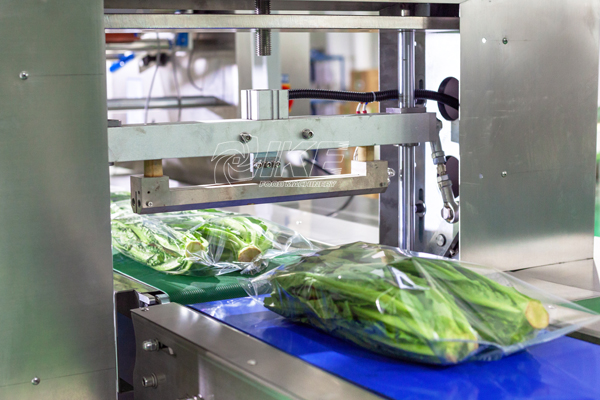DS-B700 Machine d'emballage automatique pour les légumes en sac et en boîte 5