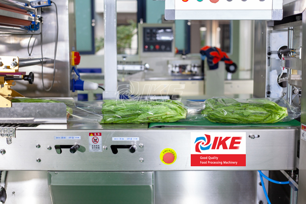 DS-B700 Machine d'emballage automatique pour les légumes en sac et en boîte 4