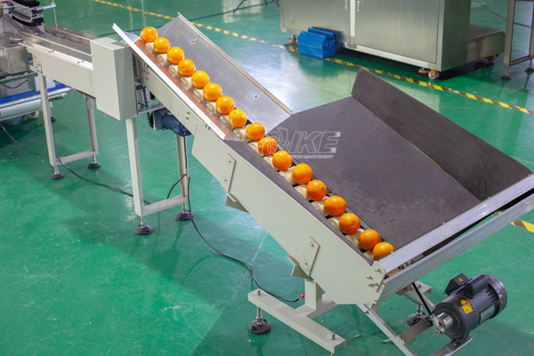 DS-B350G Fresh fruit flow-through packaging machine for oranges and lemons 2