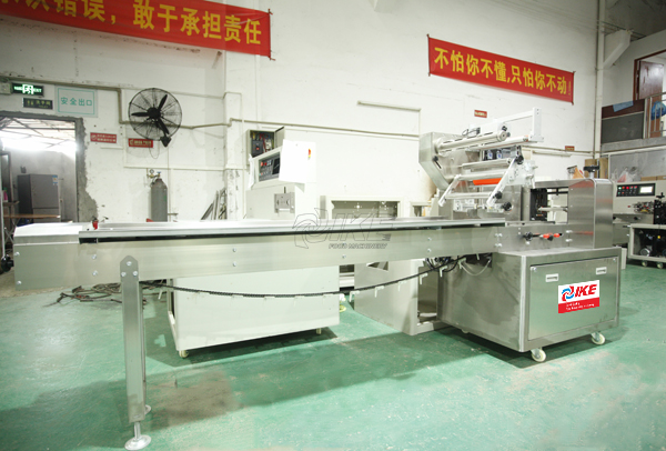 DS-B450S Bread Baked Food Pillow Packing Machine for Sale 2