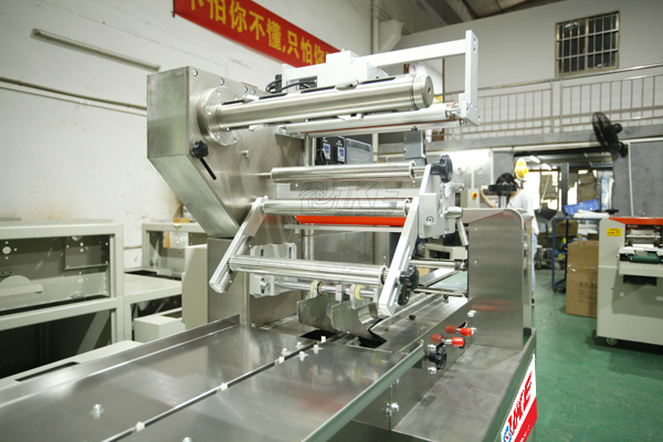 DS-B450S Bread Baked Food Pillow Packing Machine for Sale 3