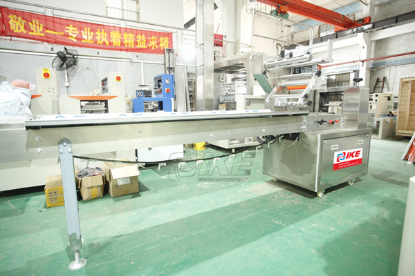 DS-B450S Bread Baked Food Pillow Packing Machine for Sale 5