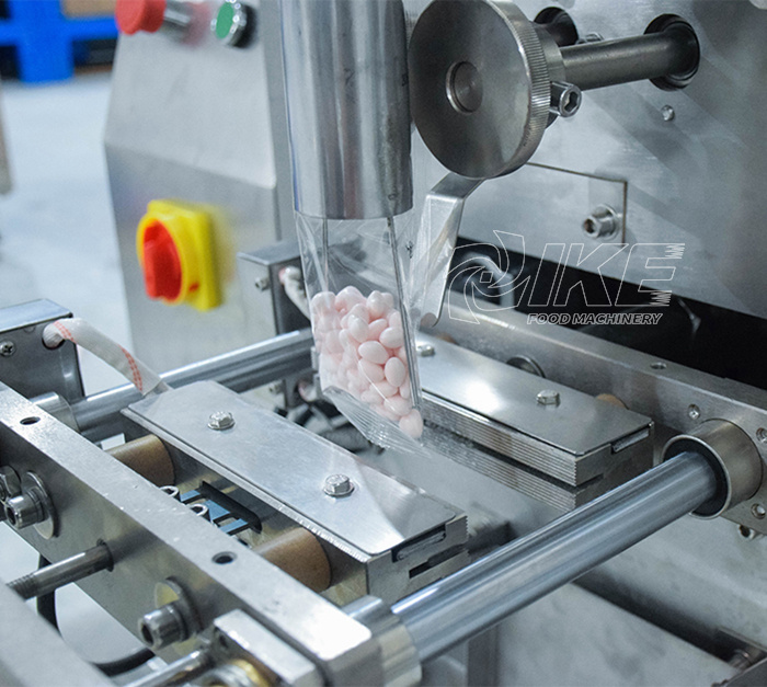DS-B320A Automatic sealing cashew pouch packing machine for sunflower seeds 3
