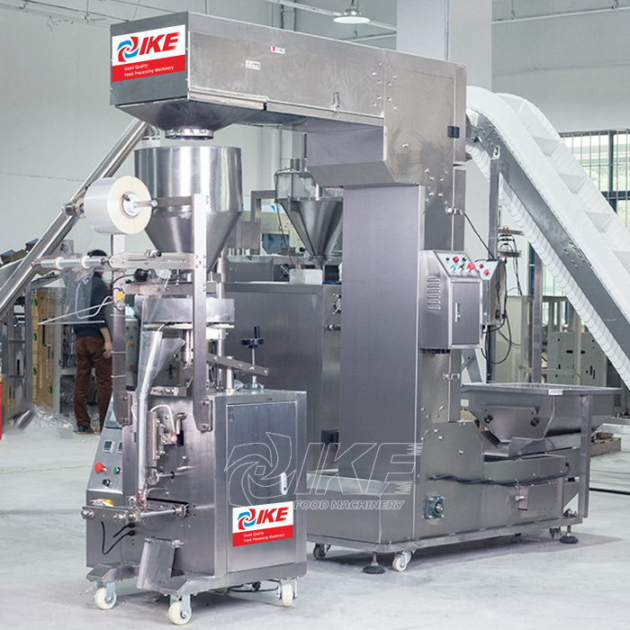 DS-B320A Automatic sealing cashew pouch packing machine for sunflower seeds 2