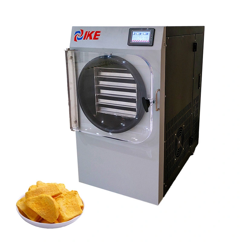 Small Home Freeze Dryer for Fruits Vegetables Meats and Candy 1