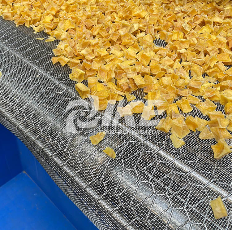 工業輸送機多功能食品乾燥機械 4