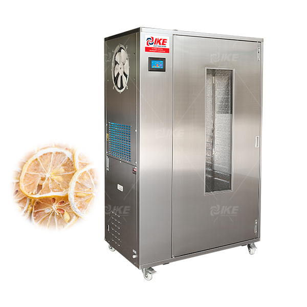 WRH-100T溫度可調節的水果和蔬菜食品脫水器 1