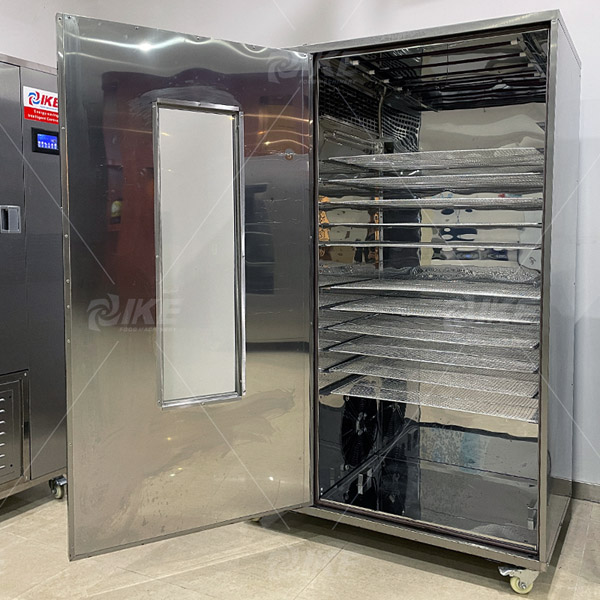 WRH-100T溫度可調節的水果和蔬菜食品脫水器 5