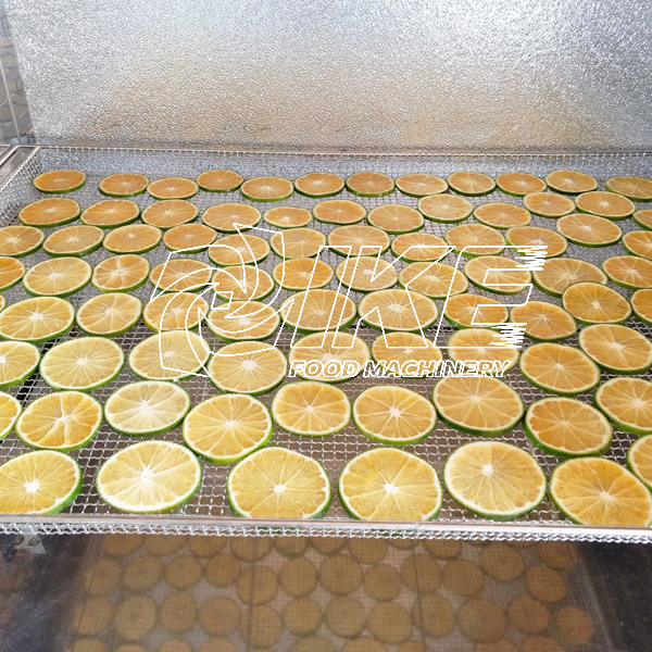KT-C311-Schneidemaschine für Obst und Gemüse mit vertikalem Schneiden von Würfelfunktionen 6