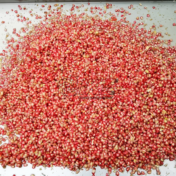 KD-T001 Pomegranate Separating Machine for Passion Fruit Threshing 4