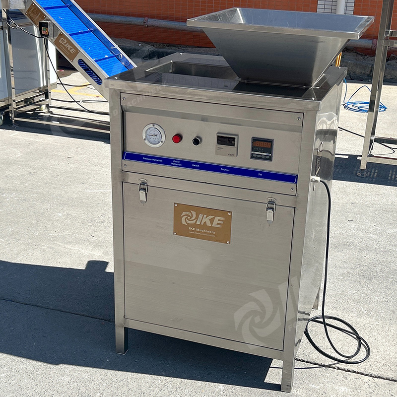 KW-YCTP10 Commercial Onion Peeling Machine-300-500 kg/Stunde, Schäden mit geringem Schaden, hohe Effizienz 3