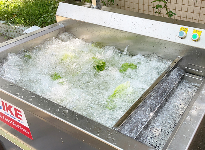 DS-WB055 Lettuce Washing Machine