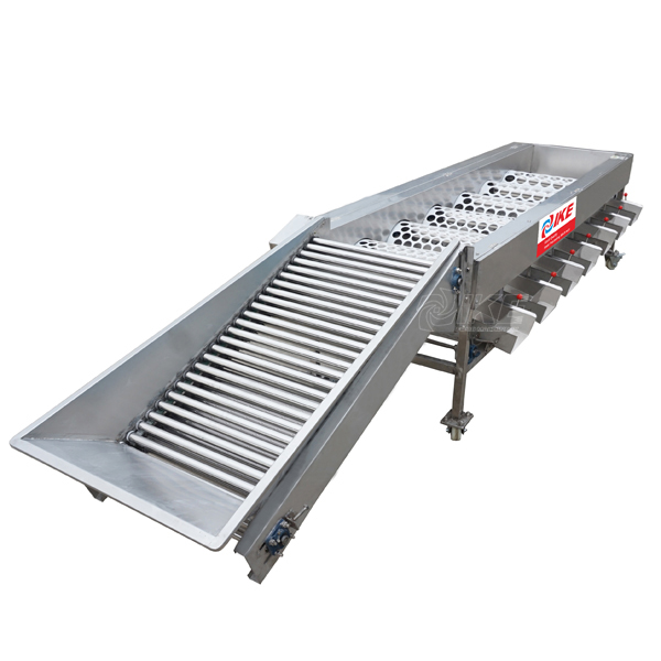 KT-AG340 เครื่องจักรการจัดลำดับระดับผลไม้สำหรับส้ม 1