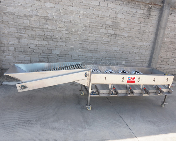 KT-AG340 เครื่องจักรการจัดลำดับระดับผลไม้สำหรับส้ม 2