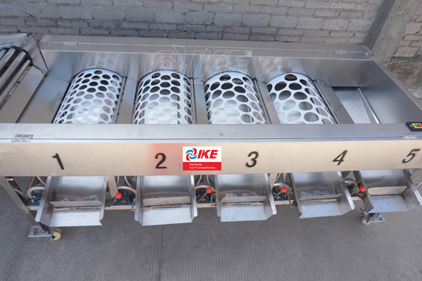 KT-AG340 เครื่องจักรการจัดลำดับระดับผลไม้สำหรับส้ม 4