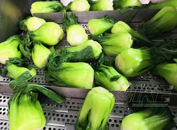 KW-Bl45植物果肉的食物藍食品 3