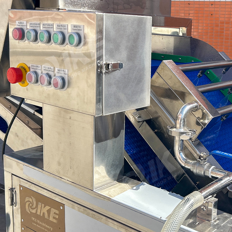 Customizable IKE Onion Processing Line | Peeling, Cleaning, Slicing Equipment for Efficient Onion Processing 4