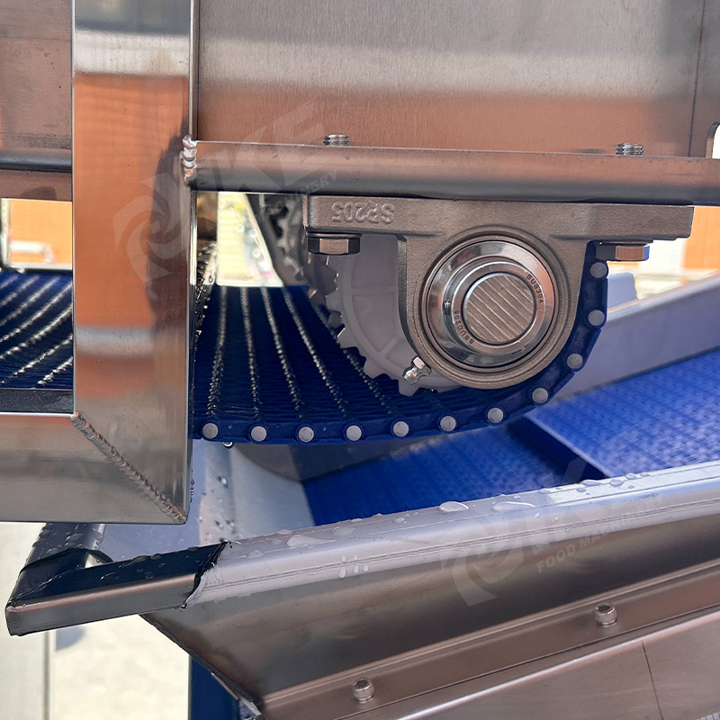 Customizable IKE Onion Processing Line | Peeling, Cleaning, Slicing Equipment for Efficient Onion Processing 3