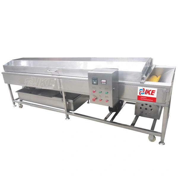 KW-WN30 Food high-pressure spray washing machine for fruits and vegetables 1