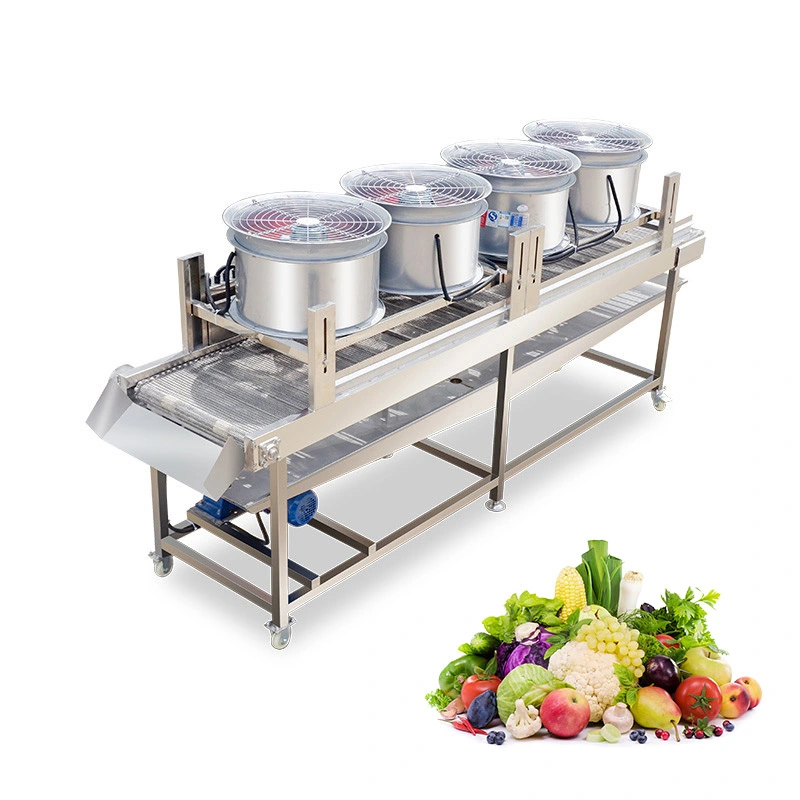 Industrial Blower Air Dryer for Fruits & Vegetables KT-DH35SZ 1