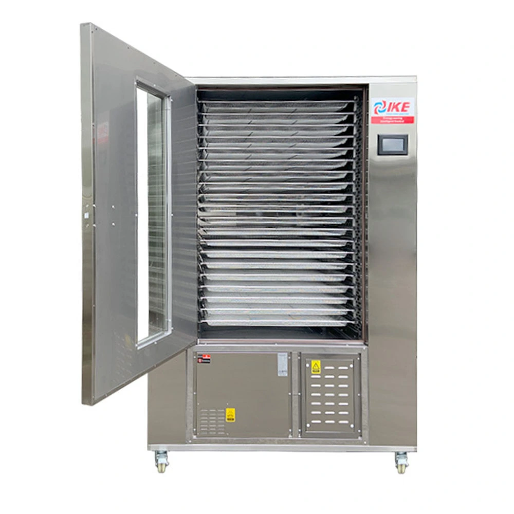 Cabinet Food Dehydrator for Fruits, Vegetables & Meat WRH-100GN 1