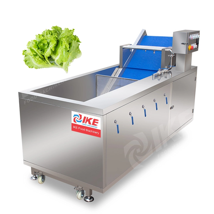 Electric Ozone Leafy Vegetable&Fruit Cleaning Machin - KT-WB200 1