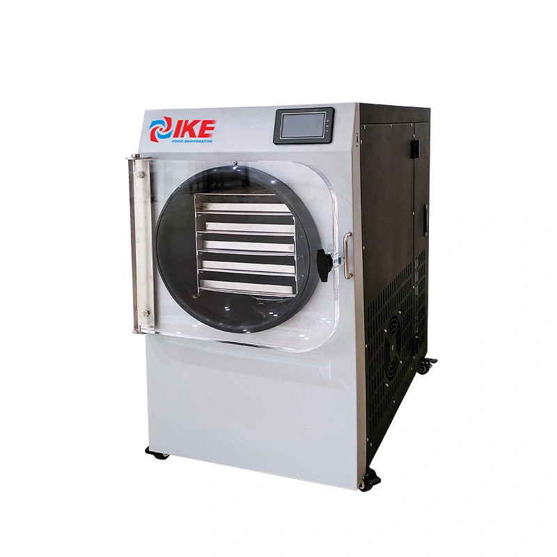 Compact Vacuum Freeze Dryer for Home Use  Model FVD-H6 1
