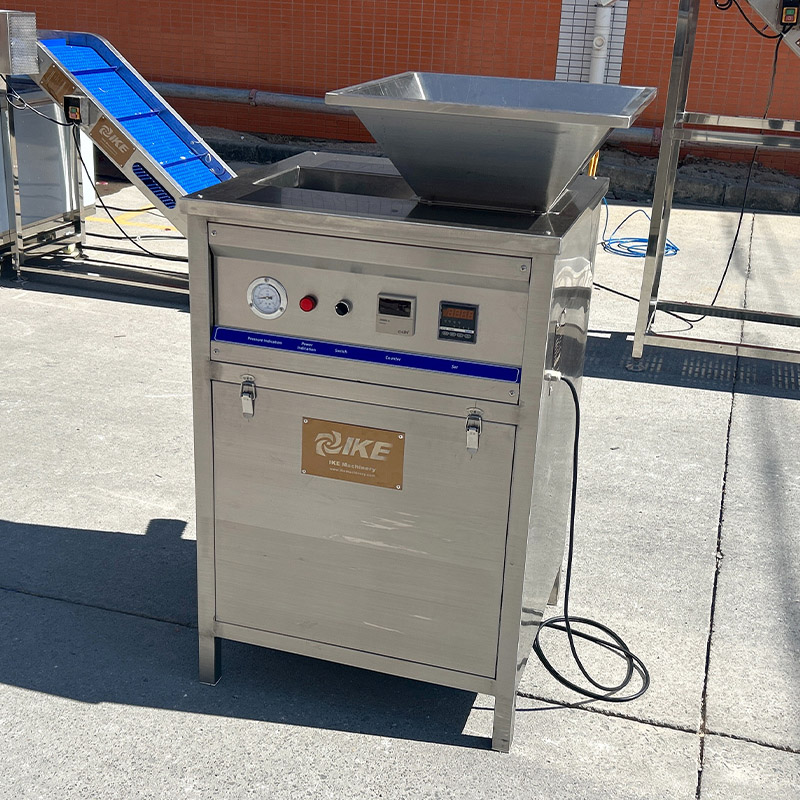 Machine de pelage d'oignon pour la transformation des aliments - Modèle KW-YCTP10 2