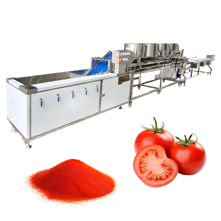 Línea de procesamiento de tomate automático para lavar metal de metal TEC 1