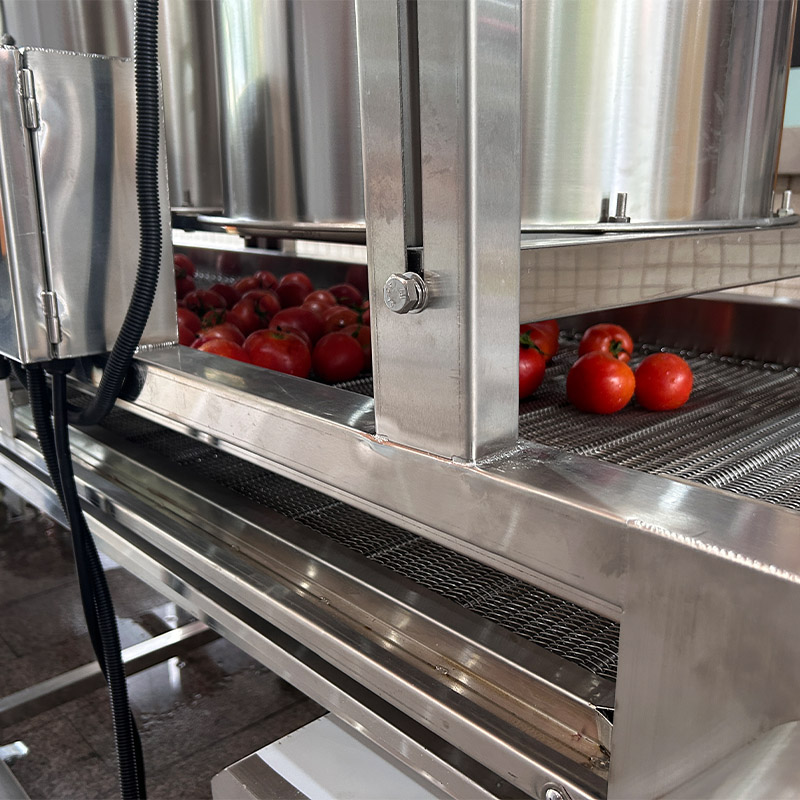 Línea de procesamiento de tomate automático para lavar metal de metal TEC 2