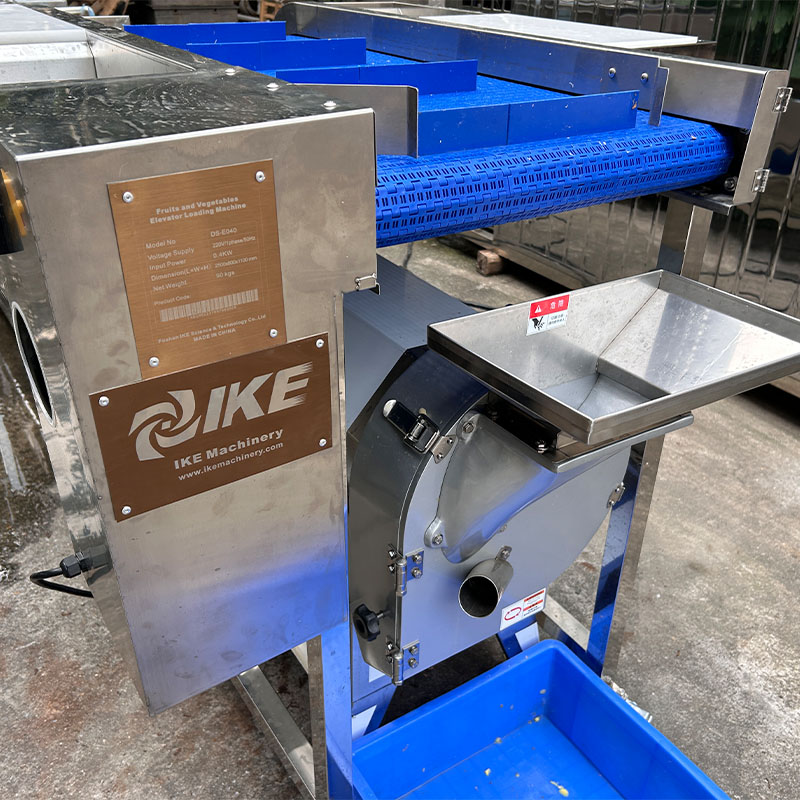 Ginger Washing and Slicing Processing Line 3