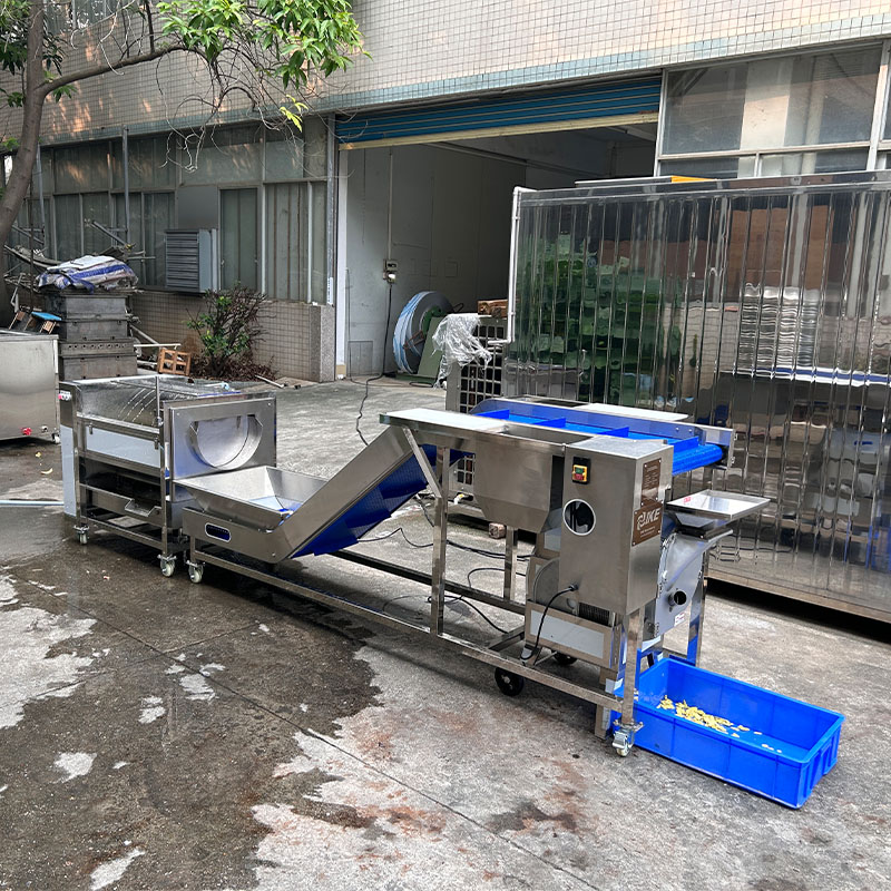 Ginger Washing and Slicing Processing Line 2