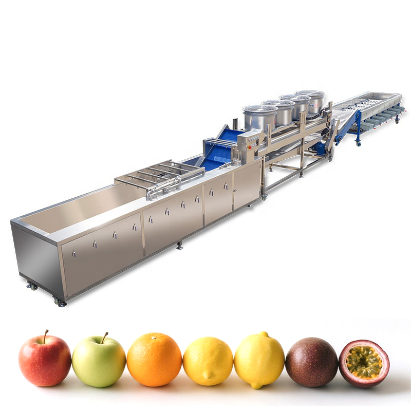 Automatic Passion Fruit Washing, Air Drying and Grading Processing Line 1