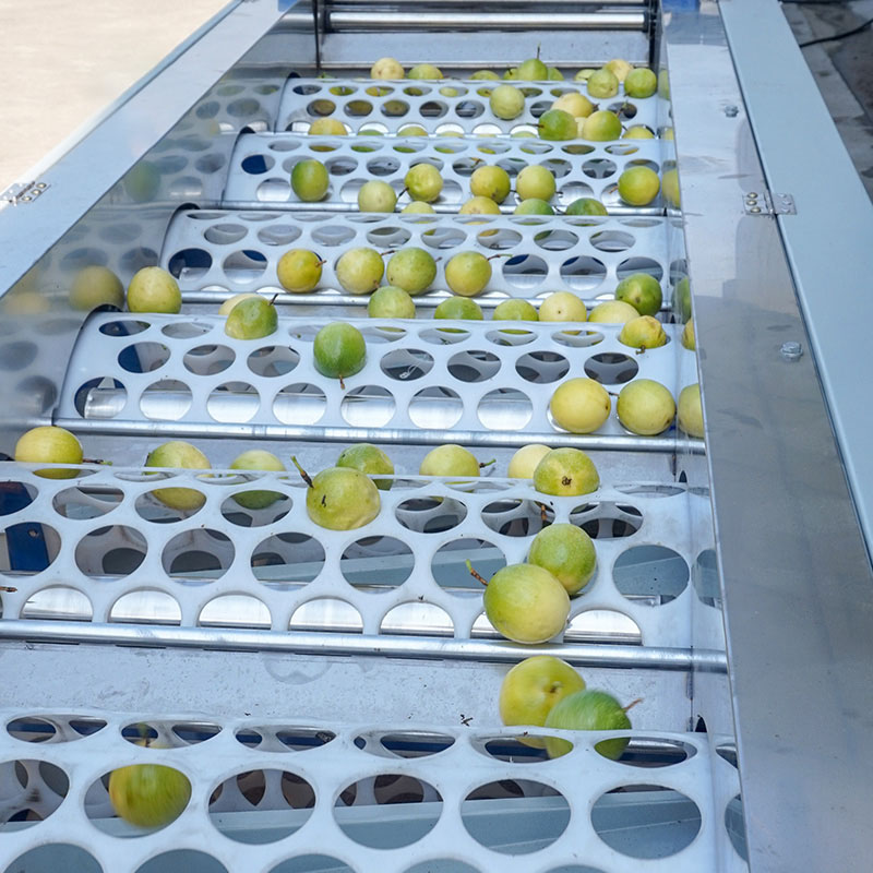 Automatic Passion Fruit Washing, Air Drying and Grading Processing Line 3