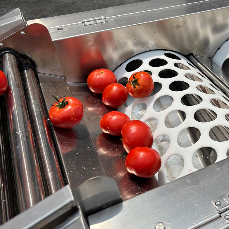 Linea di selezione, lavaggio e classificazione dei pomodori 3
