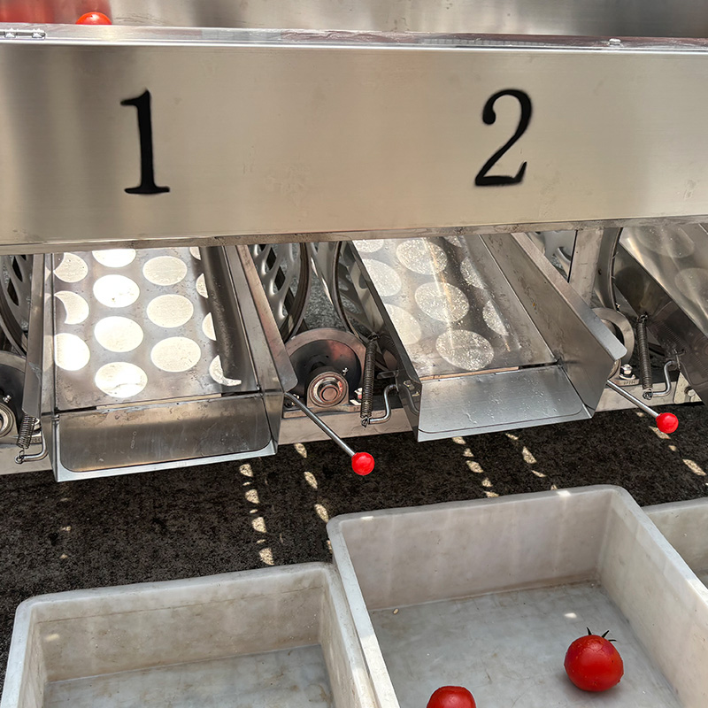 Linea di selezione, lavaggio e classificazione dei pomodori 2