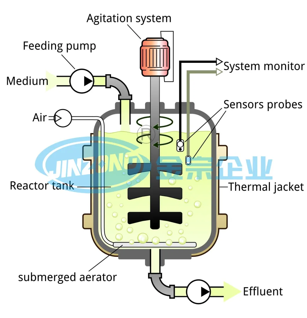 50-3000L Stainless Steel Fermentor Bioreactor Wholesale Price