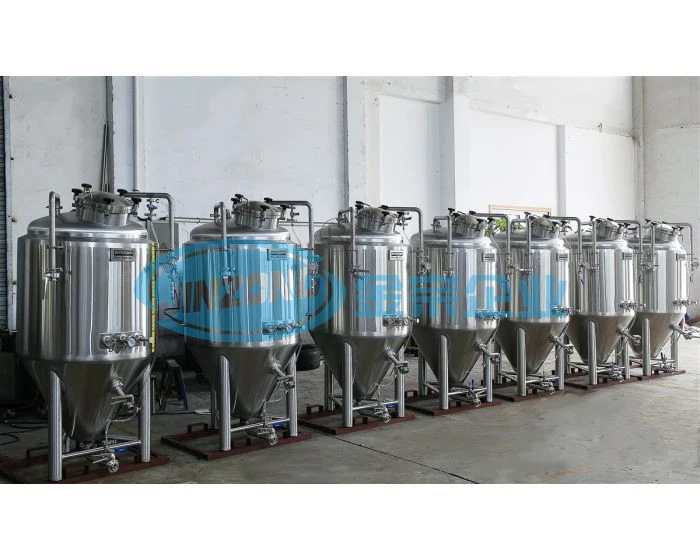 OEM Fermentation Tank Brewery Fermenter Bioreactor Beer Fermentor
