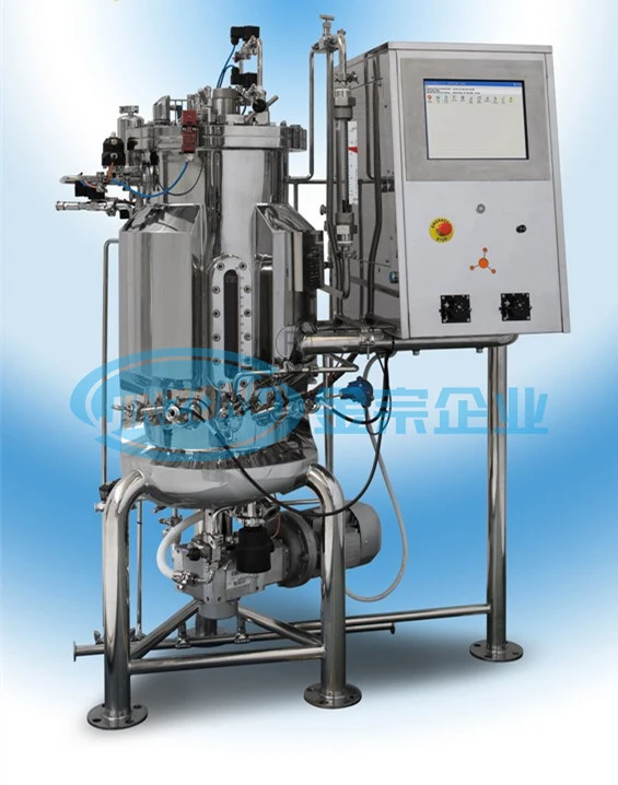 Customized Bioreactor Fermentor for Pharma Pilot API Reactor 1