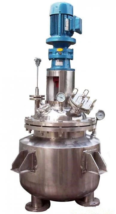 Seasoning Production Process Mixing Reactor Vessels 1