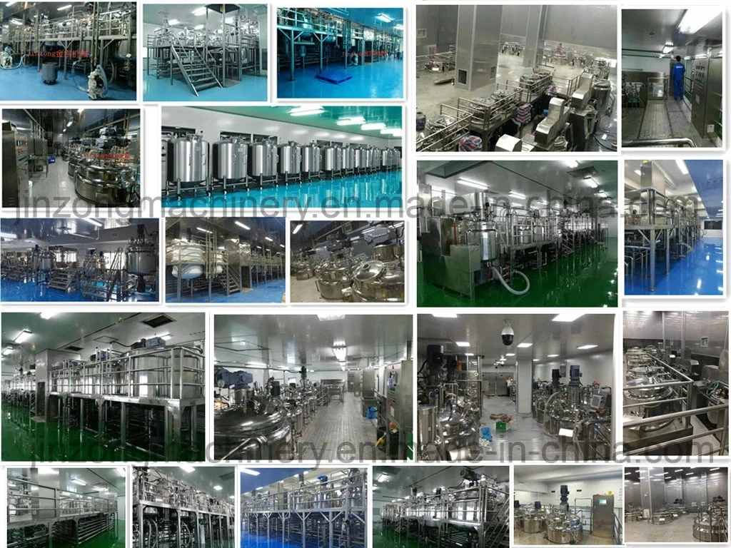 Vacuum Emulsifying Mixer for Mayonnaise Sandwich Sauce Salad Dressing Butterfly