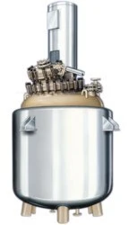 Glass Lined Reactor with Stainless Steel Outer Surface 1